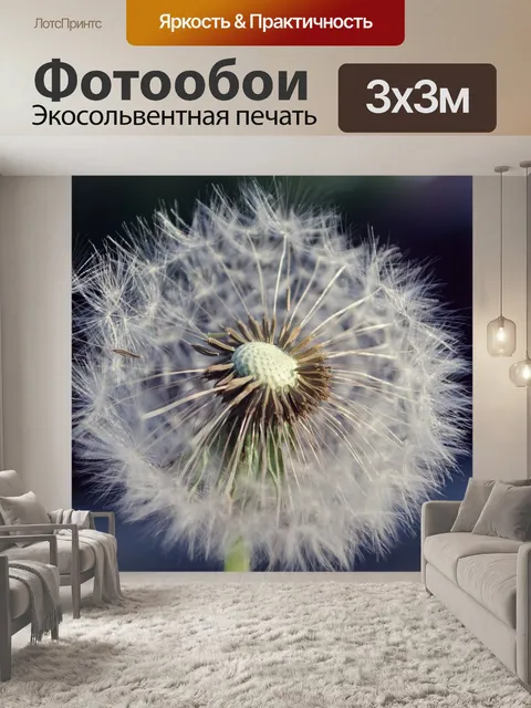 Фотообои Одуванчик