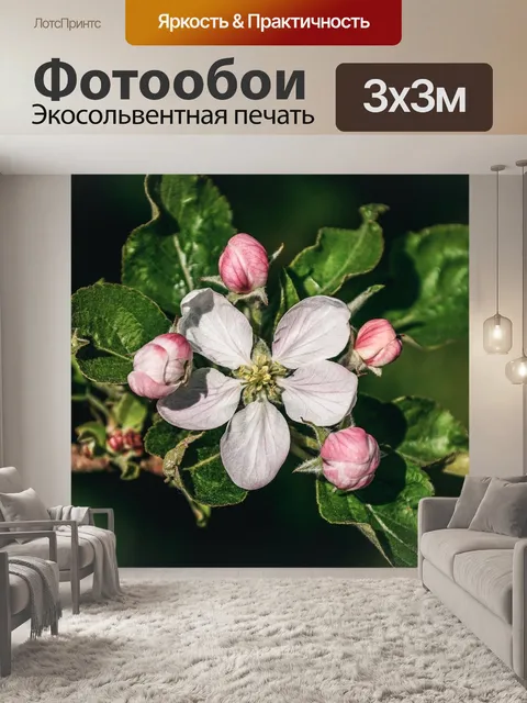 Фотообои Яблоневый цвет