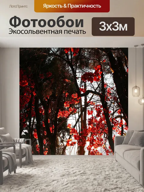 Фотообои красный бугенвилии на солнце