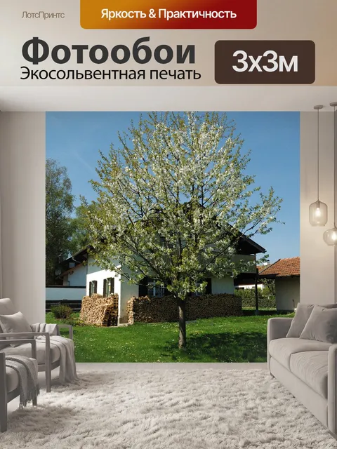 Фотообои Дерево