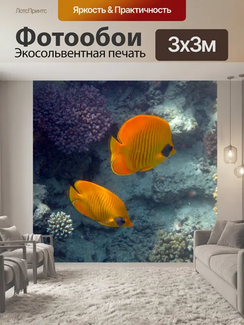 Фотообои Рыбы