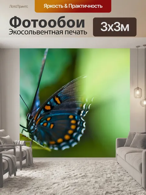 Фотообои бабочка в летний