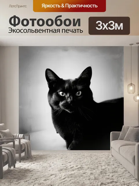 Фотообои минималистическая фотография черной кошки в стиле макросъемки