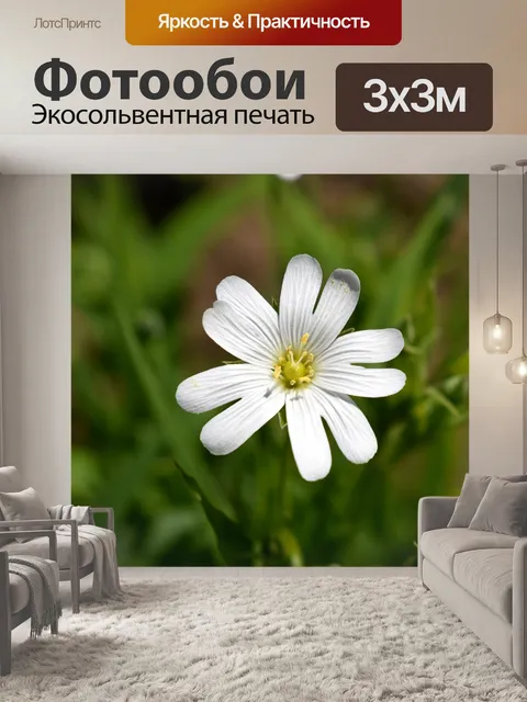 Фотообои Белый
