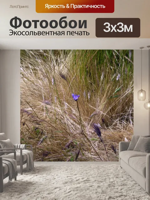 Фотообои Травянистый фон