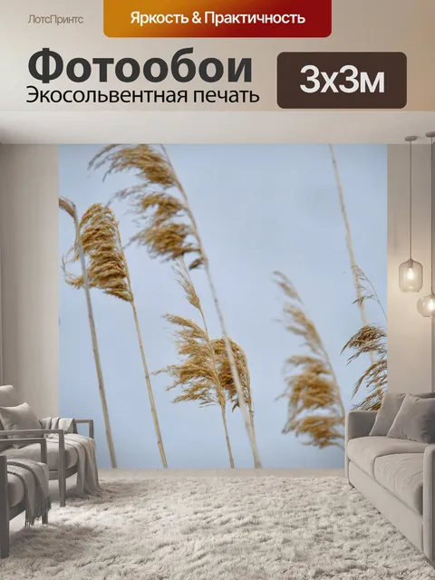 Фотообои Камыш южный