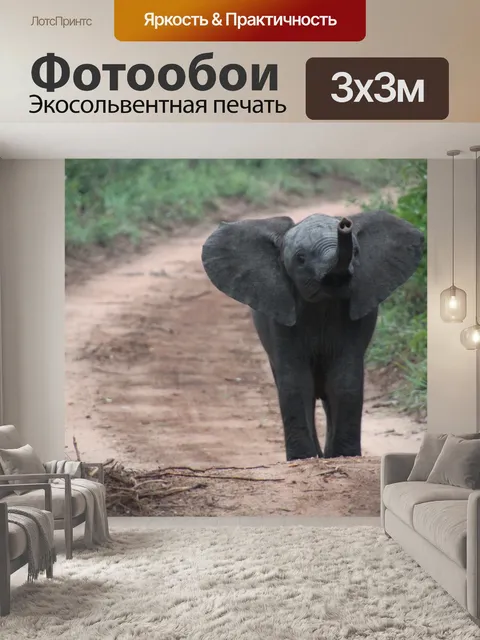 Фотообои Природа