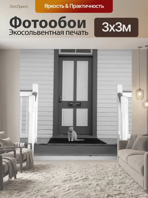 Фотообои Cat на дверь шаг