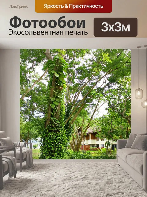 Фотообои В лесу таиланде