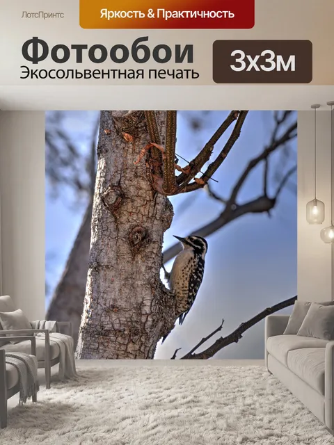 Фотообои Трап женский дятел