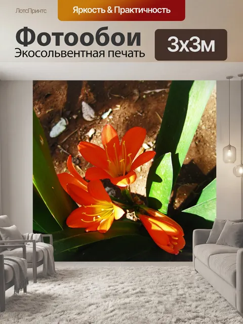 Фотообои солнечный свет на ярко-оранжевой кливии
