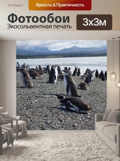 Фотообои Пингвины