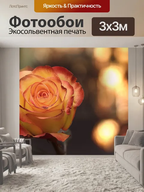 Фотообои Фотография цветка розы