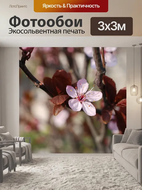 Фотообои Чернослив