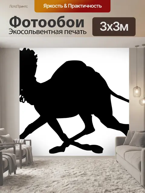 Фотообои Верблюд