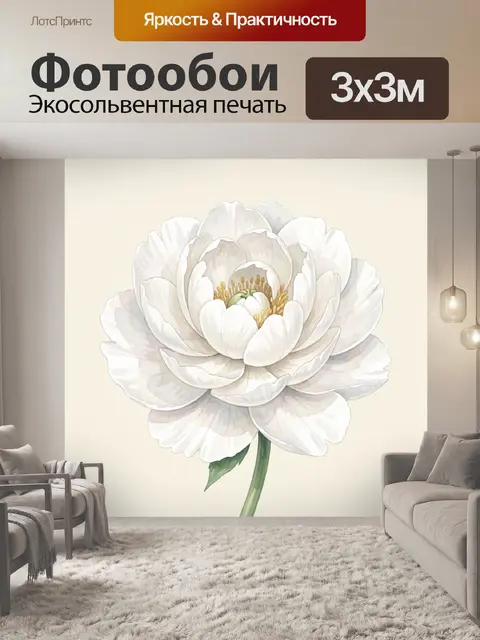 Фотообои Белый пион с золотистыми тычинками