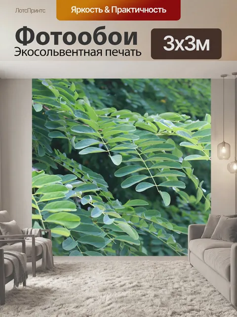 Фотообои Ветка
