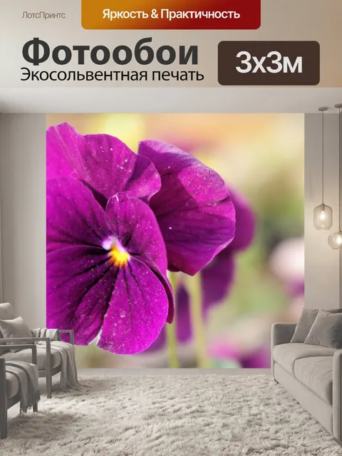 Фотообои Анютины глазки крупным планом