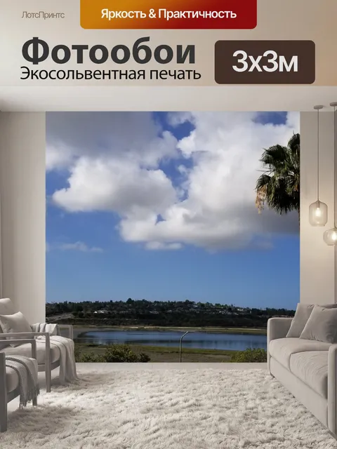 Фотообои Облака и пальмы