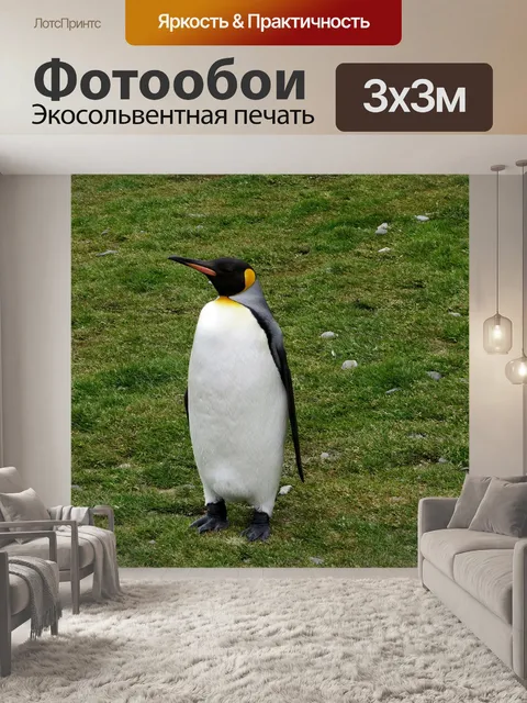 Фотообои Королевский пингвин