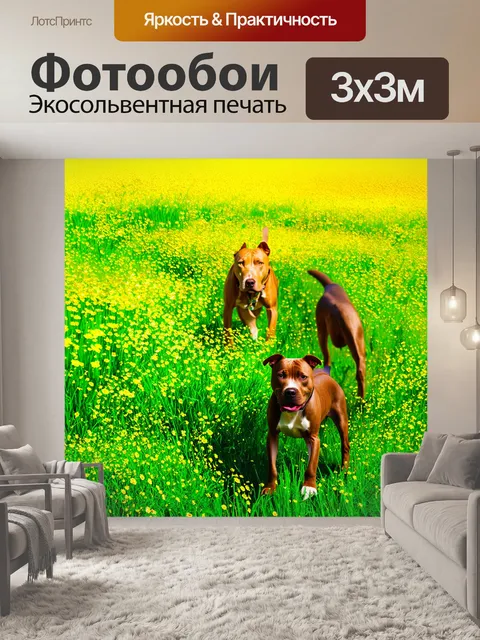 Фотообои сюрреалистический стиль