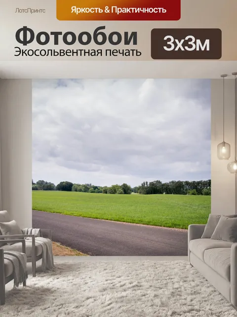 Фотообои Одинокие Дорога