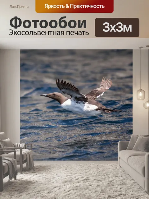 Фотообои Кайра
