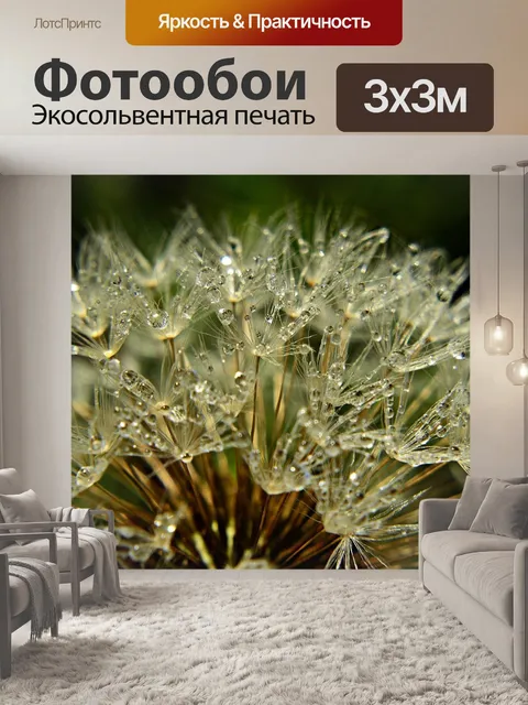 Фотообои Одуванчик