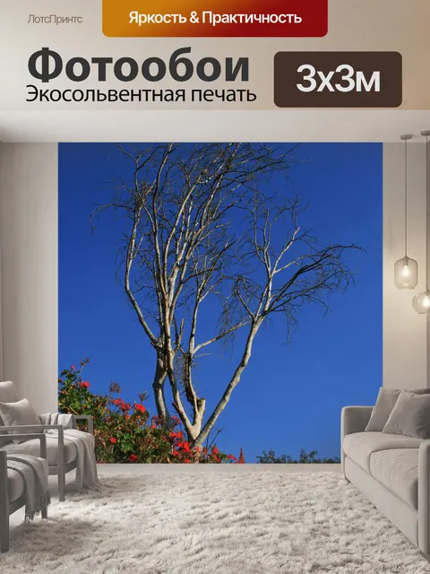 Фотообои алоэ и мертвое дерево