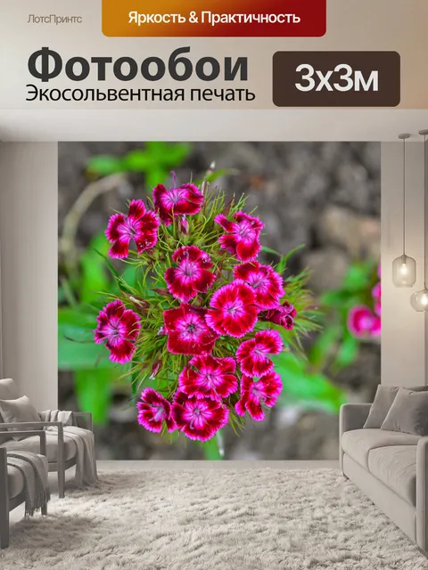 Фотообои Цветы