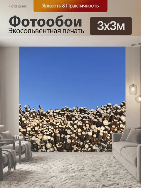 Фотообои Шесть