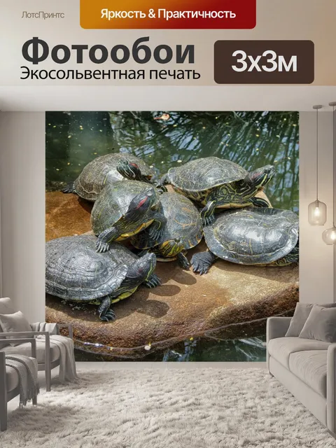 Фотообои Черепахи