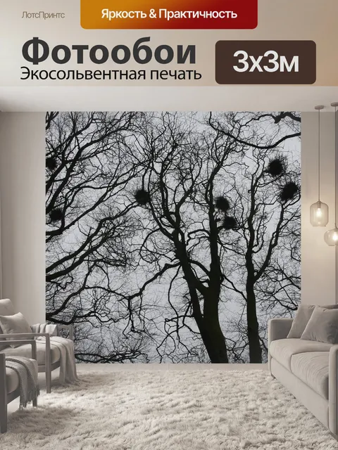 Фотообои Деревья