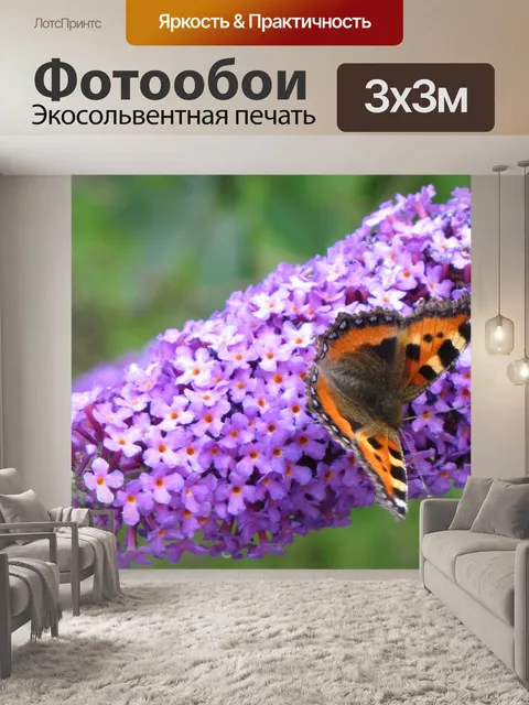 Фотообои Маленькая лиса