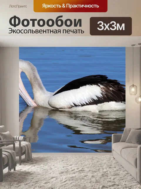 Фотообои Пеликан