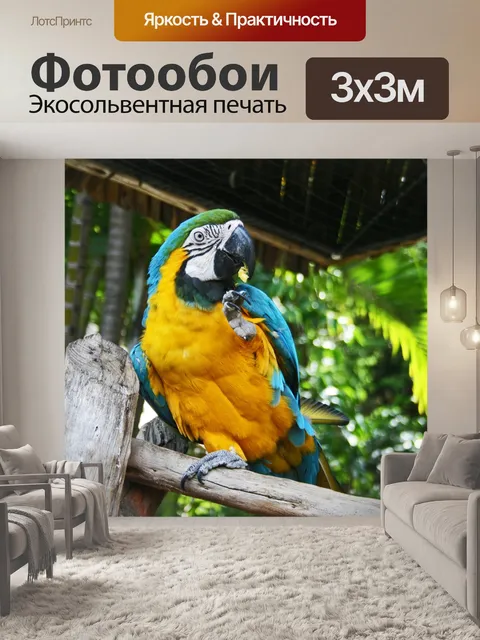 Фотообои синий и желтый ара попугай