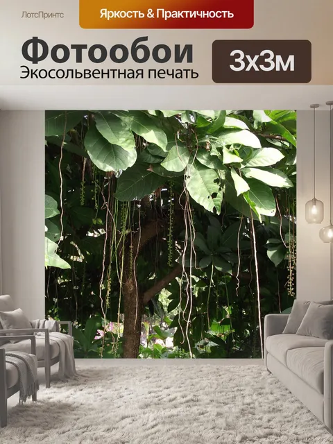 Фотообои Лоза