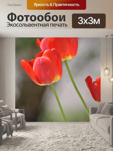Фотообои Мак