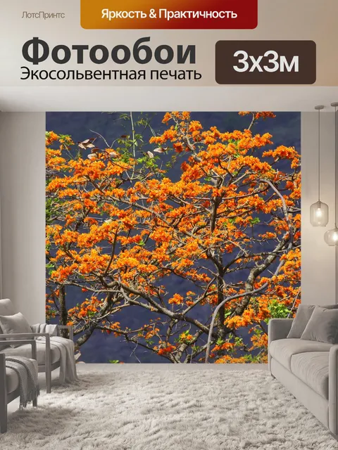 Фотообои Арагуанейское дерево