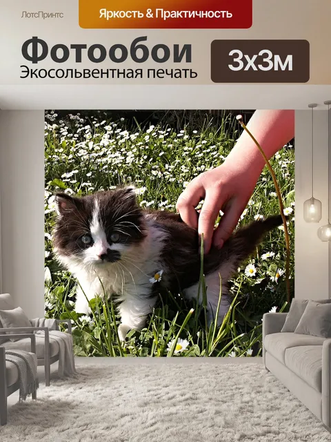 Фотообои Котенок