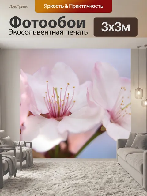 Фотообои Розовые цветы