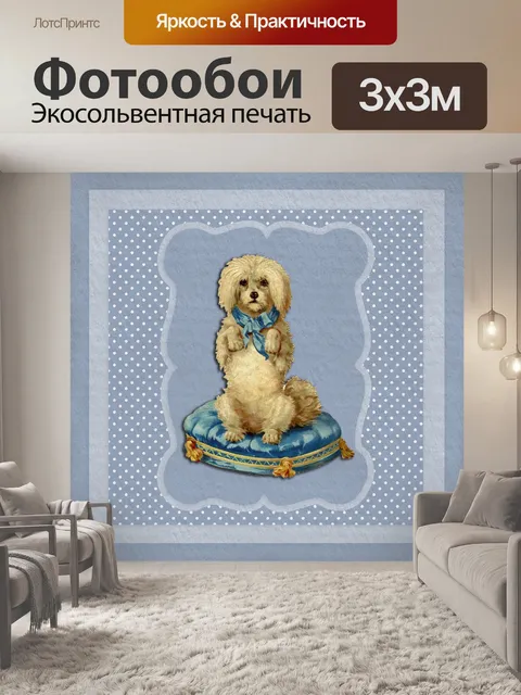 Фотообои Собака Попрошайничество Синий Подушка