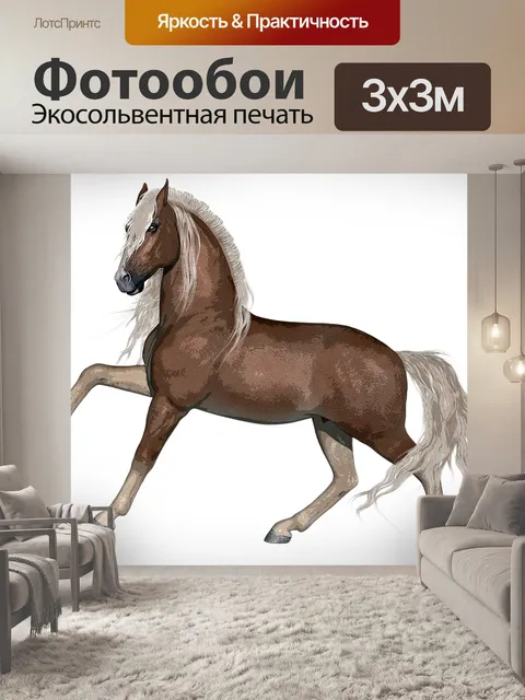 Фотообои Лошадь