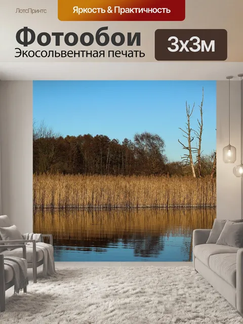 Фотообои Тростник