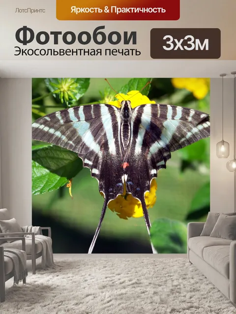 Фотообои Бабочка на желтыми цветами