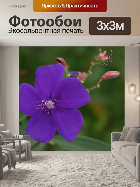 Фотообои Коста-Рика Цветы