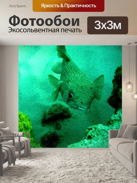 Фотообои Рыбы фугу