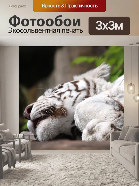 Фотообои Белый тигр