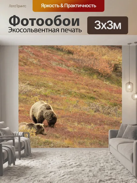 Фотообои Медведи