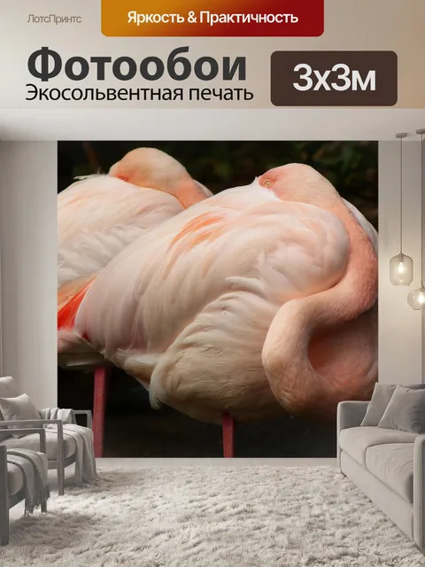 Фотообои Фламинго